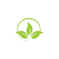 Abstract leaf. Circle leaf logo template