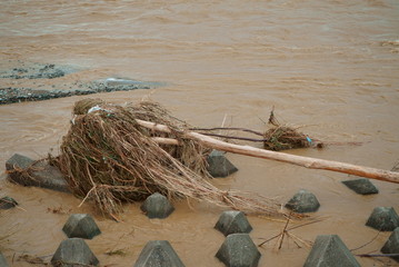 Flood damage caused by typhoon 19 