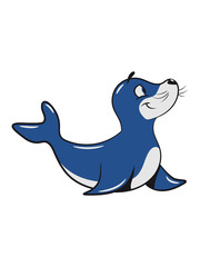 Seehund meer wasser süss lieb lustig kind schwimmen Pazifik atlantik witzig 3c