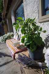 Schwarzwald im Herbst