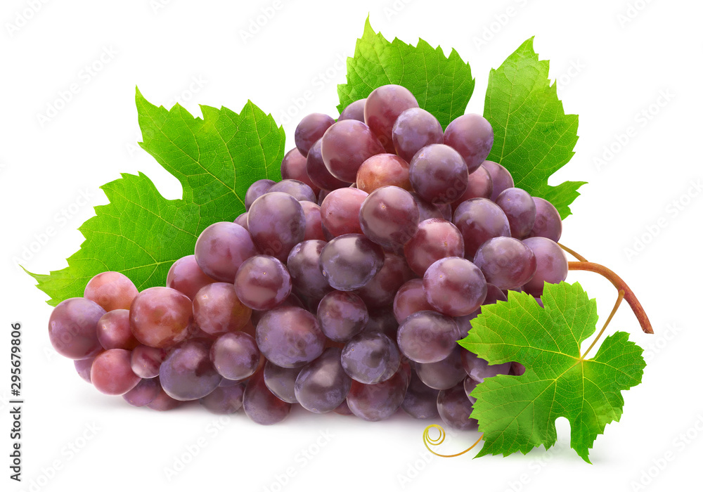 Fototapete isolated grape. bunch of red grapes with leaves on a branch of vine isolated on white background wit