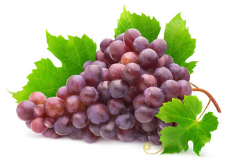 Isolated grape. Bunch of red grapes with leaves on a branch of vine isolated on white background...
