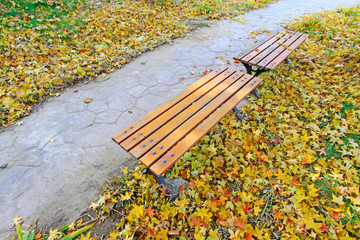 wooden seat in the park