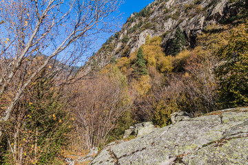 Forest in Madriu-Perafita-Claror Valley, Andorra