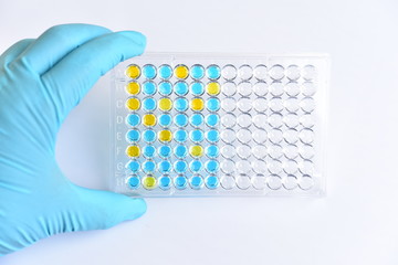 Enzyme-linked immunosorbent assay or ELISA plate, Immunology testing method in medical laboratory