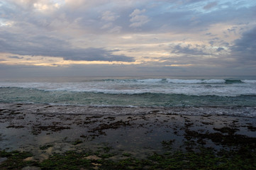 Obraz premium Ocean waves, foam and weeds in Sri Lanka
