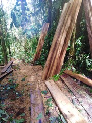madera