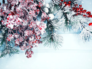 winter background with fir branches cones and snow