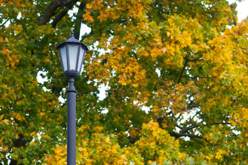 Old style lantern in fall
