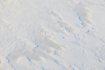 Snow texture