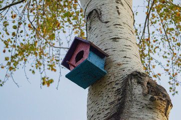 bird house on oak tree in autumn 