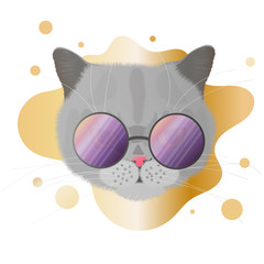 Vector face of a gray cat in purple glasses with a gold rim. Fashionable cat with glasses. Exotic Shorthair kitten. Golden blot background.