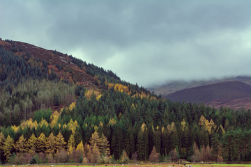 landscape in the mountains