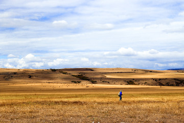 Obraz premium Sunny yellow valley, mountains, cloudy sky and traveler silhouette.