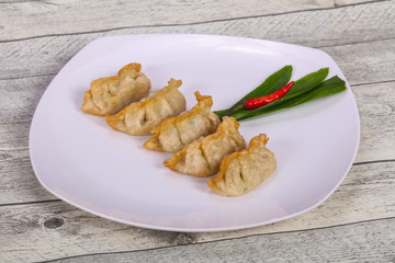 Japanese traditional cuisine Gyoza dumplings