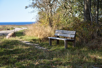Wooden bench by the coast