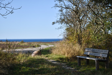 Fototapeta premium Resting place with a wooden bench