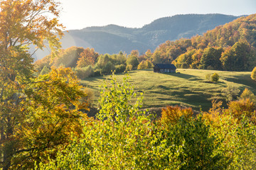 Obraz premium idyllic scene of autumn foliage colors in romania rucar-bran road trasylvania