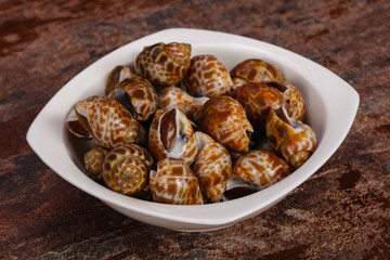 Tasty mollusk - spotted Babylon in the bowl