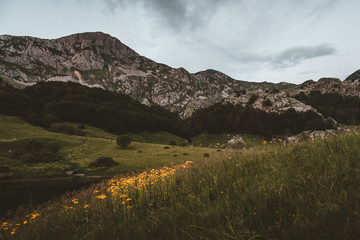 landscape in mountains