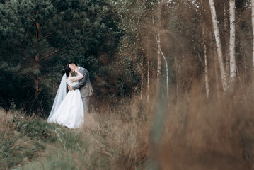 Fototapeta premium Wedding walk in the summer forest. Wedding photo shoot in summer. Newly married couple.
