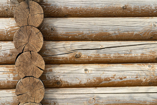 log wall. light wooden wall. environmentally friendly house. wooden blockhouse. wood fibers. logs. fresh wood wall. log cut. rustic wooden cabin. tree knots. hardwood. copy space. wood texture