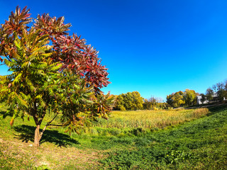 Colorfull city park in the autumn season