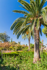 Fototapeta na wymiar Palm garden at Alhambra fortress in Granada, Spain