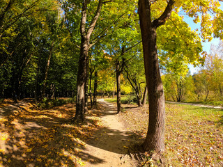 Obraz premium Colorfull city park in the autumn season