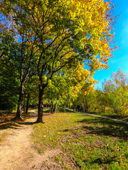 Naklejka premium Colorfull city park in the autumn season