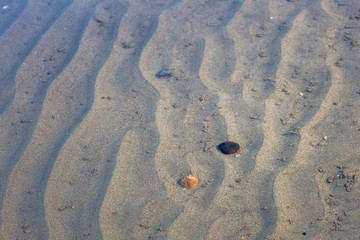 A small pebble lies on the sandy bottom under the water. Waves on the water. Sunlight.