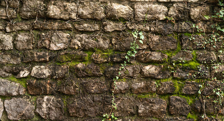 Texture of old stone brick wall covered with green moss