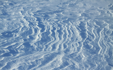Snow-white snow and the earth sheltered by it. Countryside and snowfall. Winter dunes and mountains of snowflakes. Stock background.