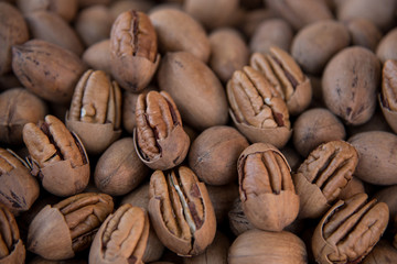 Many Pecan nuts The pecan nut is a species of hickory native to northern Mexico, which produces nearly half of the world total