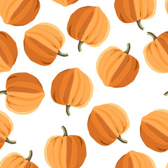 cucurbita pattern realistic vector illustration