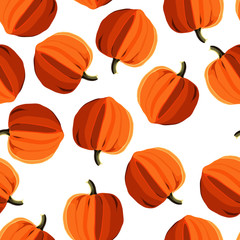 cucurbita pattern realistic vector illustration