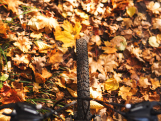 Ride a bike through the autumn forest and leaves