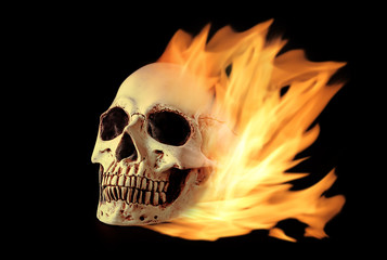 Human skull on black background