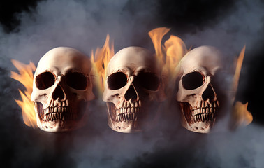 Human skulls on black background