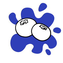 Doodle blueberry sketch, hand drawn illustration of berries on a white background.