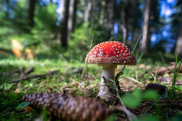 Schonach im Herbst Schwarzwald