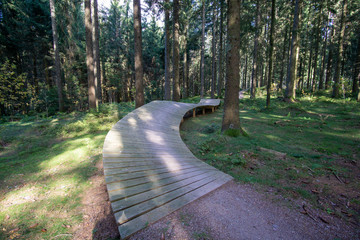Schonach im Herbst Schwarzwald