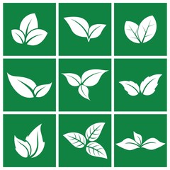 set of isolated green leaves vector icon design on white background. Various shapes of green leaves of trees and plants. Elements for eco and bio logos.  