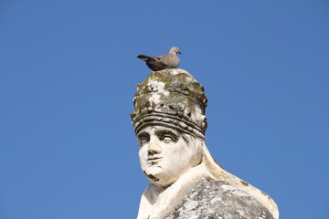 Turtledove statue