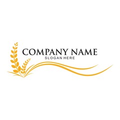 Agriculture wheat Logo Template vector icon design