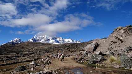Trekking dans le Nevado Ausangate, montagne de la cordillère de Vilcanota dans les Andes, au Pérou