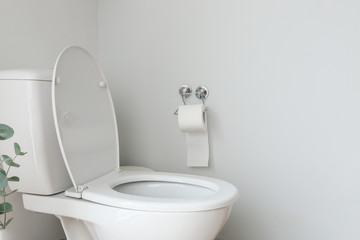 Toilet bowl near light wall in restroom