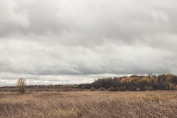 Fototapeta premium Autumn cloudy weather. Field. A lot of clouds. yellow colors
