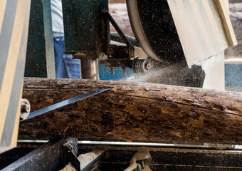 Modern sawmill. Industry sawing boards from logs