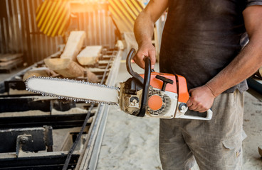Woodcutter cutting tree with chainsaw on sawmill. Modern sawmill. Industry sawing boards from logs.